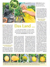 Presse - Bauernzeitung 09/2023